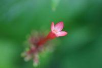 IMG_9400.JPG
