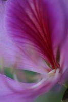 IMG_9422.JPG