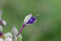 IMG_9541.JPG
