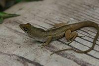 IMG_9584.JPG