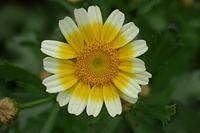 IMG_9717.JPG
