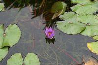 IMG_9757.JPG