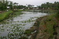 IMG_9789.JPG