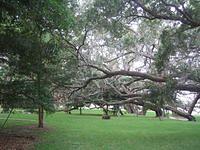IMG_3207.JPG
