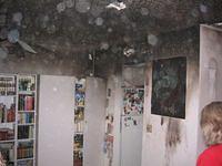 Florida December 2005 046.jpg