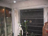 Florida December 2005 055.jpg