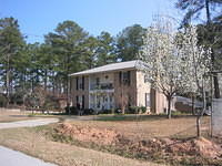 IMG_3768.JPG