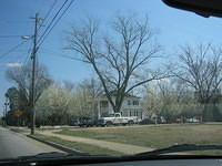 IMG_3782.JPG