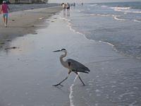 IMG_3889.JPG