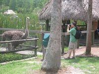 IMG_3955.JPG