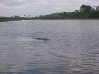 IMG_3963.JPG