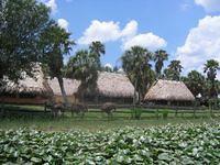IMG_3975.JPG