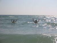 IMG_3979.JPG