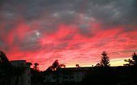 IMG_8653.jpg
