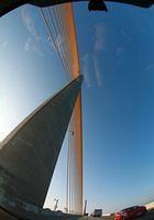 IMG_9130.jpg