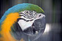 IMG_9226.jpg