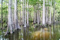 IMG_9270.jpg