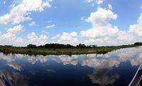 IMG_9302.jpg