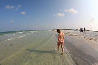 IMG_9636.jpg
