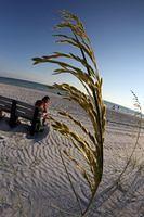 IMG_9947.jpg