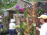 IMG_3905.JPG