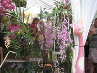 IMG_3906.JPG