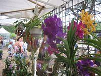 IMG_3907.JPG