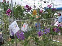 IMG_3908.JPG