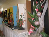IMG_3916.JPG