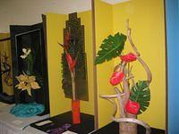 IMG_3917.JPG