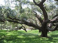 IMG_4110.JPG