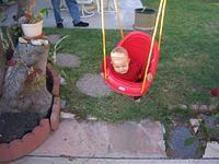 IMG_4234.JPG