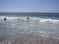 IMG_4269.JPG