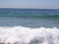 IMG_4271.JPG