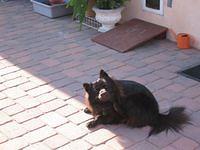 IMG_4306.JPG