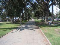 IMG_4318.JPG