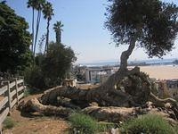IMG_4321.JPG