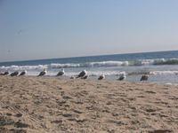 IMG_4337.JPG