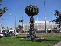 IMG_4340.JPG