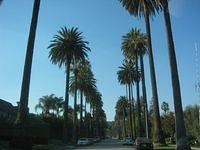 IMG_4346.JPG
