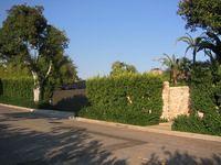 IMG_4354.JPG