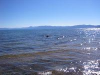 IMG_4604.JPG
