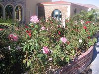 IMG_4694.JPG