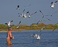 IMG_1717.jpg