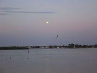 IMG_5157.JPG