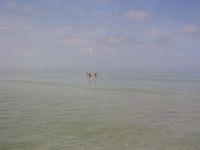 IMG_5160.JPG