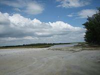 IMG_0310.JPG