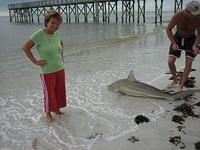 IMG_0343.JPG