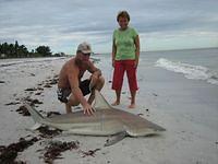 IMG_0344.JPG