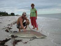 IMG_0345.JPG